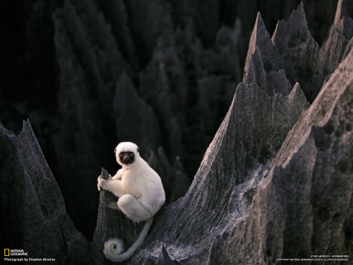 National Geographic 7 (40 )