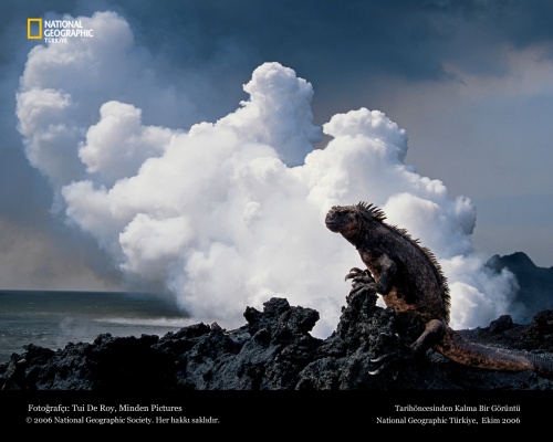 National Geographic 27 (40 )