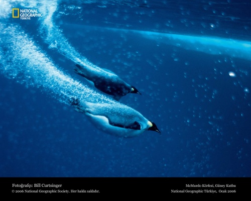 National Geographic 30 (40 )